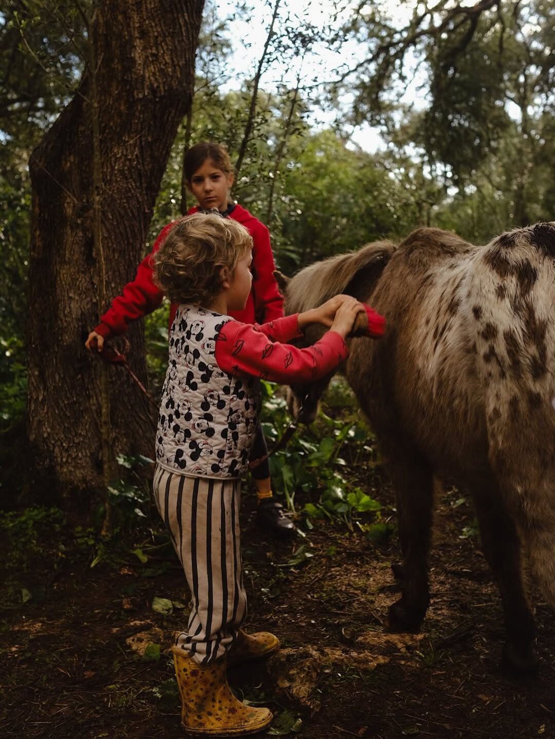 Family in nature